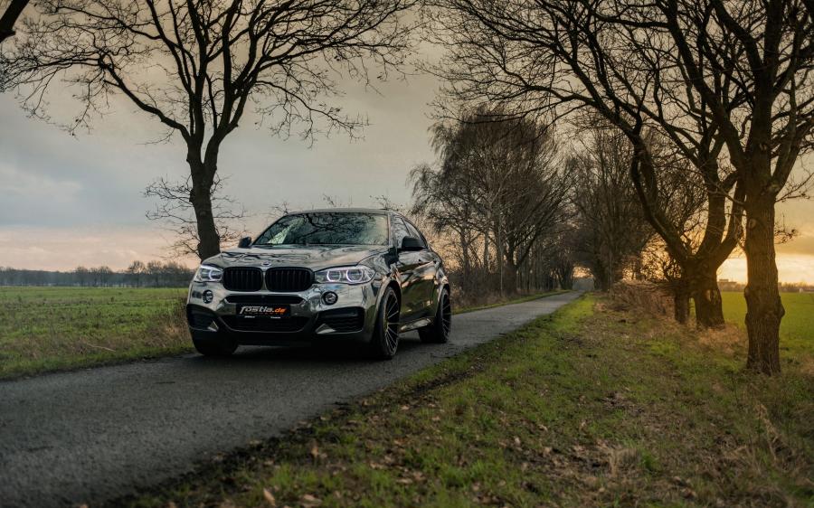  BMW X6 M50d by Fostla Design and Hamann 2018 года  (фото 10 из 16)